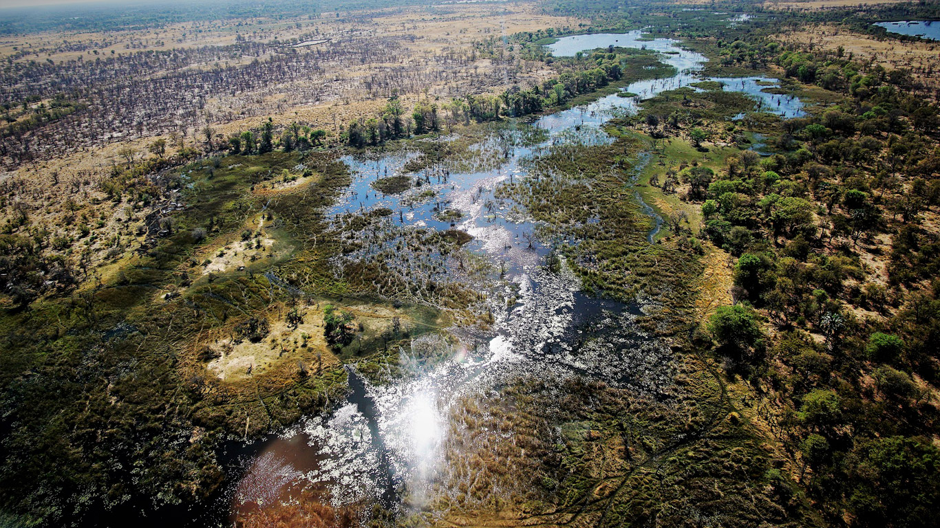 Botswana: safáris para conhecer os paraísos selvagens com muito conforto