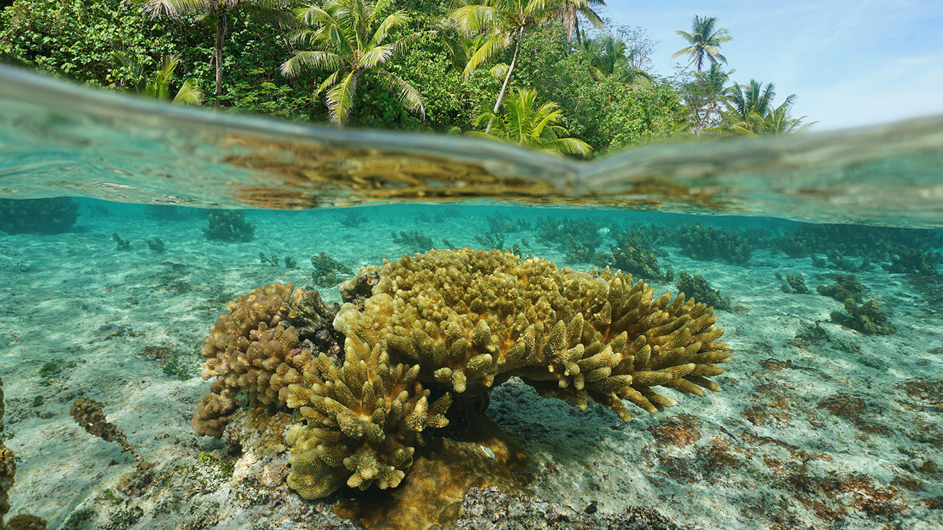 Polinésia Francesa: paraíso onde a natureza criou uma paleta de cores única e exclusiva
