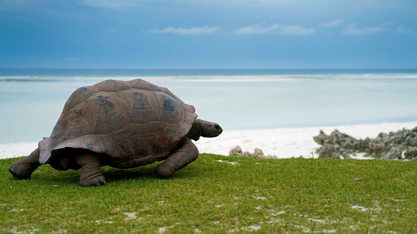 Seychelles e sua busca pela preservação do verde
